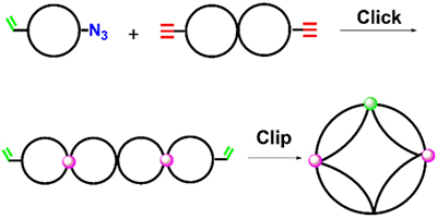 ESA-CF法によって得られる単環状および双環状高分子前駆体を用いたクリック法およびクリップ法による七宝文様高分子の合成経路