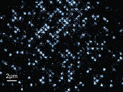 光格子中にトラップされた原子の蛍光画像