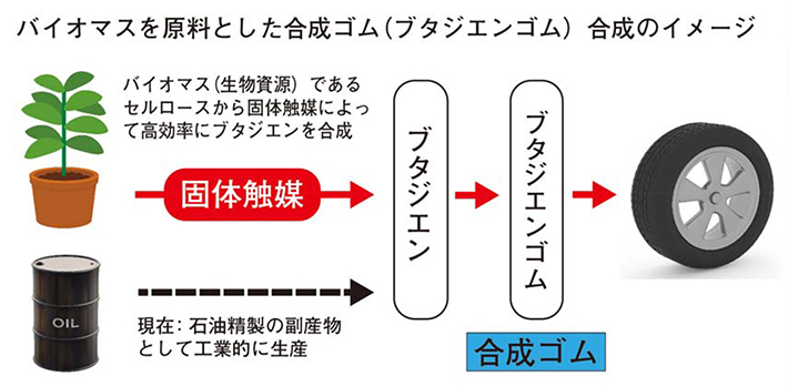 バイオマスを原料とした合成ゴム（ブタジエンゴム）合成のイメージ