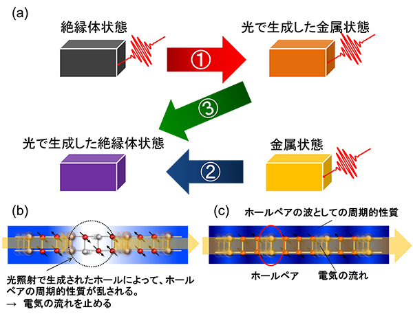 （a）光を使った電気特性制御のスキーム、（b）光で生成した絶縁体状態および（c）金属状態におけるホールペアの流れ。