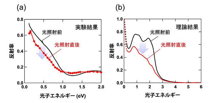 （a）実験および（b）理論計算により得られた光照射前後の反射率スペクトル。