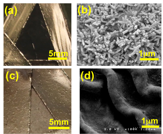 （a）ハスの葉を30nm厚の金で被覆したメタマテリアル　（b）ハスの葉の電子顕微鏡写真　（c）ドクダミの葉を30nm厚の金で被覆した試料　（d）ドクダミの葉の電子顕微鏡写真