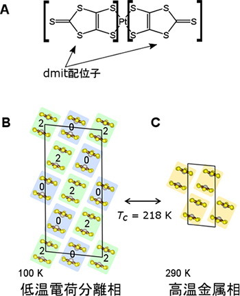 A：Pt(dmit)2分子の構造式。角括弧で囲まれた部分はdmit配位子と呼ばれる。B：Me4P[Pt(dmit)2]2の低温電荷分離相でのPt(dmit)2分子がつくる面における分子配列の様子。強く2量化したPt(dmit)2分子が基本単位となっている。数字の“0”、“2”は、各々の2量体の価数（符号は負）を表しており、価数の異なる二量体が互い違いに規則正しく整列している。C：高温金属相での同じくPt(dmit)2面内の分子配列の様子。すべての二量体は等価であることがわかる。