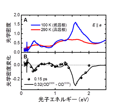 A：Me4P[Pt(dmit)2]2の光学密度スペクトルの温度依存性。電荷分離相転移（相転移温度Tc = 218 K）に伴い、スペクトル形状が大きく変化している。B：100K（低温相）における光励起後0.15 psの光学密度変化差分スペクトル（黒丸）と比較のために計算した高温相（290 K）と低温相（100 K）の光学密度の差分スペクトル。測定エネルギー域全域にわたってスペクトル形状は良い一致を示しており、光励起直後に電荷分離状態が溶けて、金属状態が生成している事を示唆している。