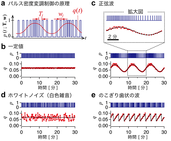 （a）パルス密度変調制御の原理。青線で描かれたパルス波pによって、赤線の波形のように時間変化する物質流入出量q(t)を実現した。パルスの密度が高いところが物質流入出量が大きくなる。Tはパルスの周期、wはパルスの幅を示す。