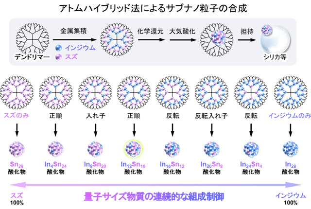 図1. アトムハイブリッド法を利用した、二種類の金属元素を含むサブナノ粒子の合成。原料となる金属イオンの原子数を規定してデンドリマーに取り込み、これを還元・酸化して目的のサブナノ粒子を得る。デンドリマーに取り込む金属イオンの配置を工夫して、正順型、反転型、入れ子型、反転入れ子型などのバリエーションを組むことで、粒子中の元素比率を連続的に変化させることができる。