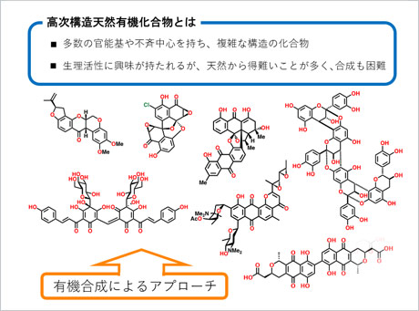 鈴木啓介栄誉教授が第61回藤原賞を受賞 - 高次構造天然有機化合物の全合成に関する研究