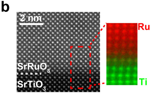 図5b：SrRuO3薄膜の電子顕微鏡像。