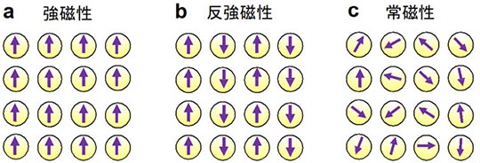 ヴァン・ヴレック常磁性