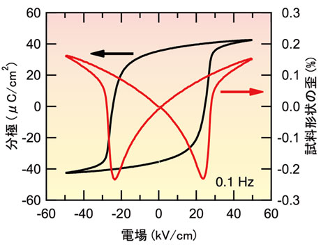 図1. BT-BMT-BFセラミックスに電場を印加したときの強誘電性を示す分極曲線と圧電性を示す試料形状の歪曲線。