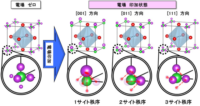 図3. BT-BMT-BFセラミックスの電場ゼロおよび電場を[001]、[011]、または[111]方向に印加したときの結晶構造。単位格子の角から結晶軸の方向にずれた位置にある紫色のイオンがビスマスイオンであり、電場を印加するとビスマスイオンが電場方向に集合しようとする。ビスマスイオンの存在確率を球の大きさで示している。