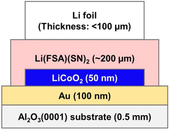 図5：Li(FSA)(SN)2を固体電解質として作製した薄膜全固体電池(Li|Li(FSA)(SN)2|LiCoO2)の外観