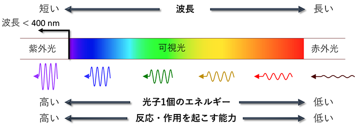 可視光を波長340 nm以下の紫外光に変換する溶液系を開発