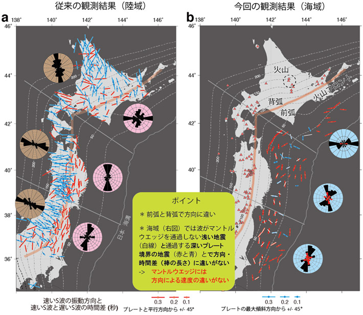 図2. 従来の陸での観測（左）および今回の海域での観測（右）による速いS波の振動方向と速いS波と遅いS波の時間差。棒の方向が速いS波の振動方向、棒の長さが時間差を観測点ごとに示す。棒の色は、速いS波の振動方向がプレートと平行方向に近いかそれと直交方向に近いかを示す（赤色：平行方向、青色：直交方向）。茶色、ピンク色、水色のグラフはそれぞれ背弧、前弧陸域、前弧海域での振動方向の頻度分布を示す。前弧海域（水色）のグラフ内の赤の棒は、波がマントルウエッジを通過しない浅い地震の速いS波の振動方向を表す。