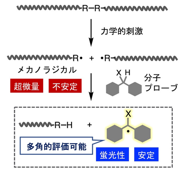 図2. メカノラジカルの可視化および定量評価メカニズム