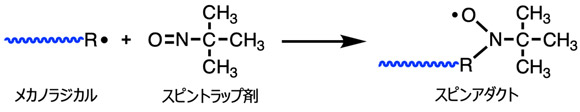 スピントラップ法：不安定なメカノラジカルを、スピントラップ剤を用いてスピンアダクトと呼ばれる安定ラジカルへと変換したうえで、電子スピン共鳴（ESR）測定によって定量評価する手法。