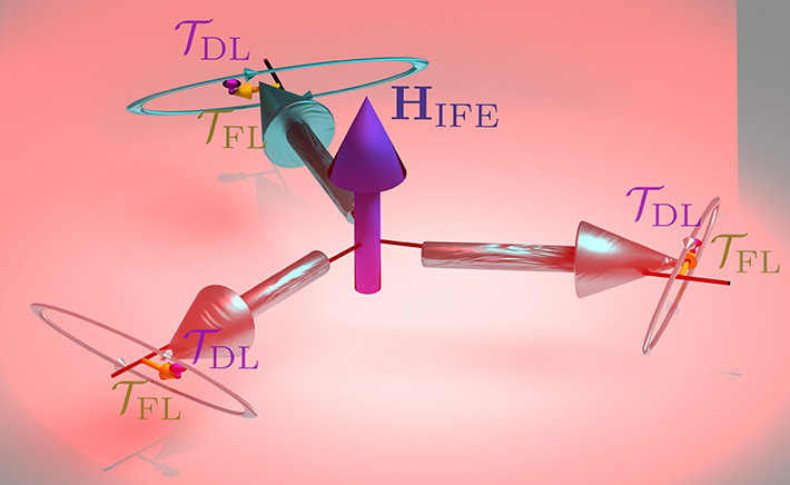 図1. 六方晶マンガン酸化物にフェムト秒光パルスを照射したことによって生じた副格子磁化の歳差運動