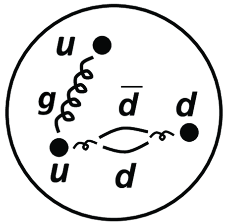 図1. 陽子のパートン構造。2個のアップクォーク (u) と1個のダウンクォーク (d) からグルーオン (g) の放射やクォーク・反クォークの対生成が起こり、クォーク・反クォーク・グルーオンの複合体になっている。