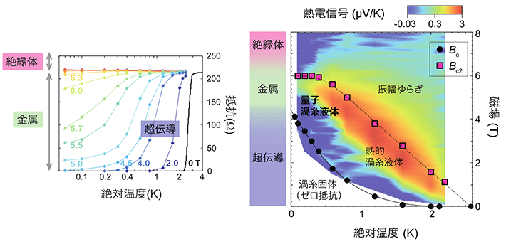 図2. （左）電気抵抗の温度特性。磁場を増加させると、超伝導-金属-絶縁体の順に絶対零度の状態が変化する。（右）熱電信号の測定結果。金属状態を示す磁場範囲において、絶対零度付近まで磁束線の液体状態が存在することがわかる。