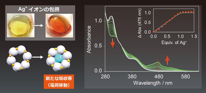 図1. UV-Visタイトレーションによる測定結果。長波長側に新たな吸収帯を観測した。