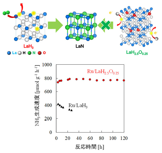 図2. Ru/LaH2.5O0.25およびRu/LaH3触媒によるアンモニア合成活性の経時変化とアンモニア合成反応中のLaH2.5O0.25およびLaH3の構造変化の模式図