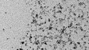 Small Enzyme-Mimicking Polymers May Have Helped Start Life