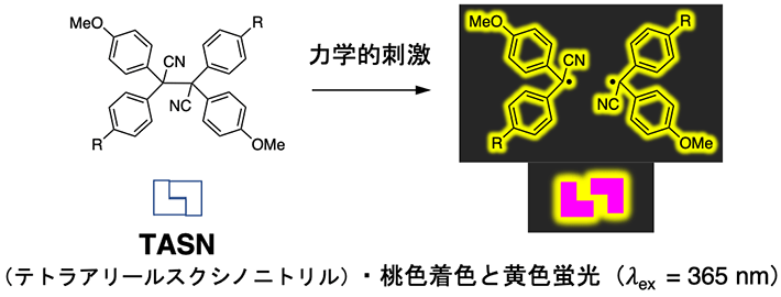 図1.本研究で使用した力学応答分子（TASN）の化学構造と力学的刺激によって発生する安定ラジカルの特徴