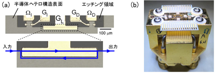 図3. 量子化分配器実証用素子の写真