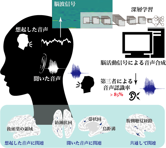 図1. 研究の概念