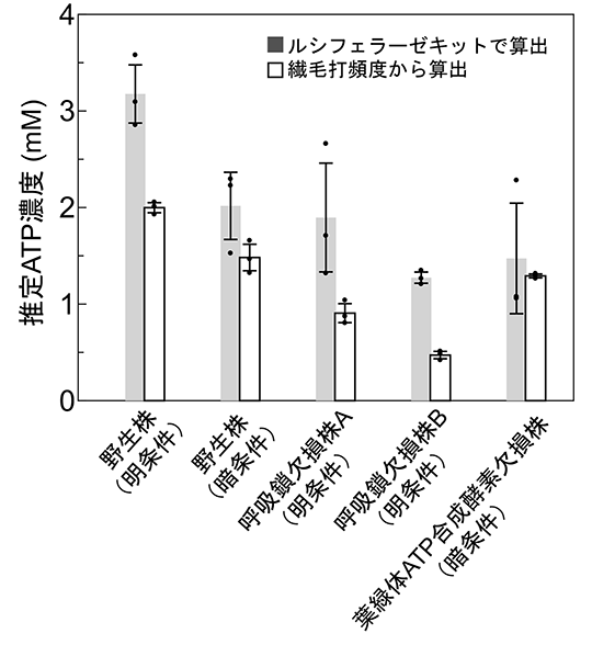 図5. 2つの方法で推定した細胞内ATP濃度