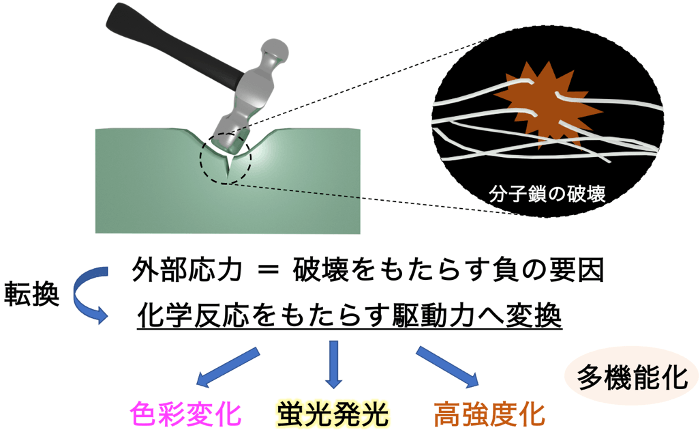 図1. 本研究のコンセプト