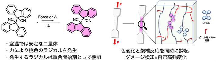 図2. DFSN骨格の性質（左）と本研究における設計（右）