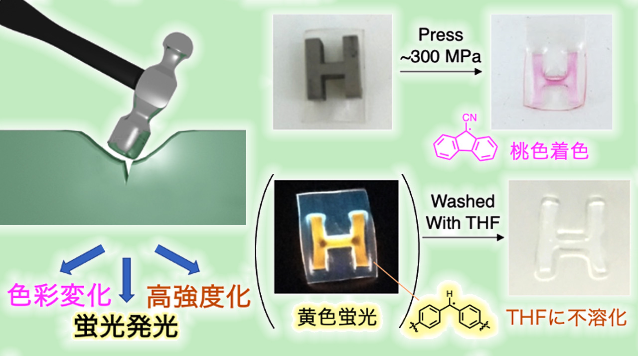 受けた力の可視化と高強度化を同時に実現する多機能高分子材料を