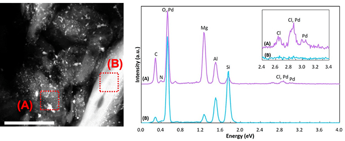 図3. 反応後の触媒粒子のSTEM-EDS測定（スケールバー: 200 nm）