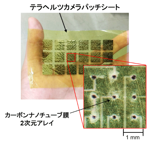 図1. 開発したフレキシブル非破壊検査シート