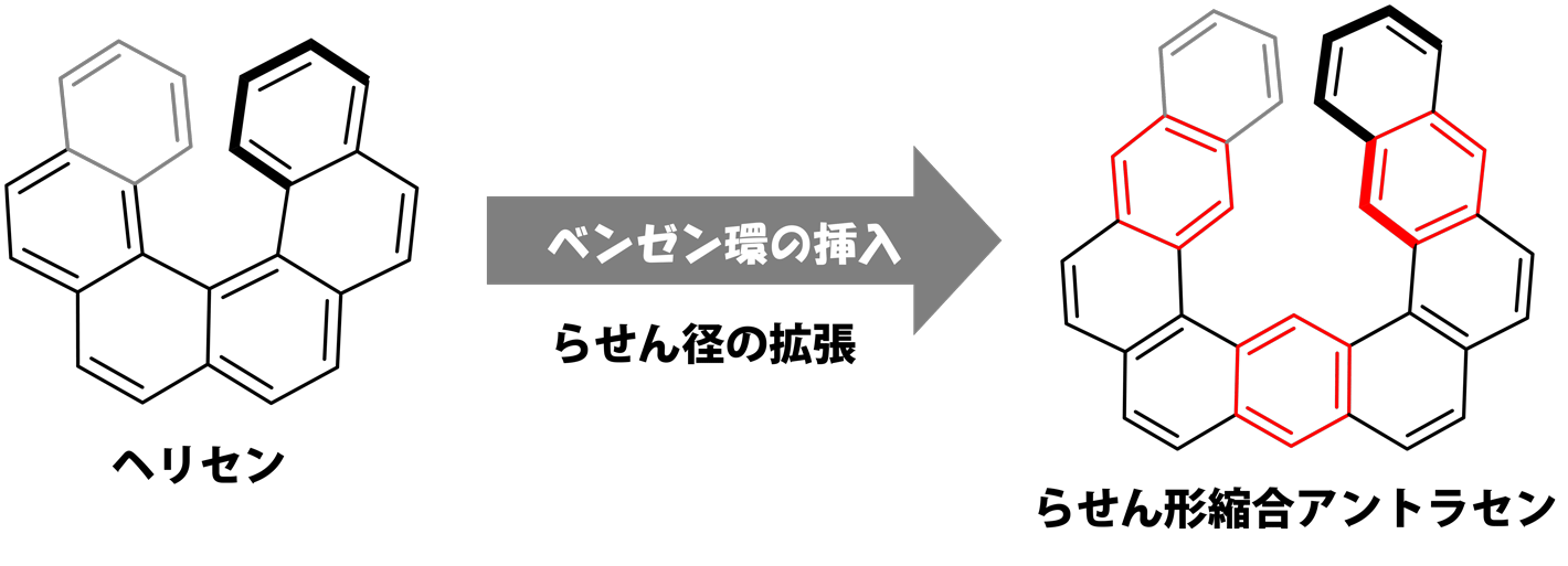 図2. ヘリセンと拡張ヘリセン（らせん形縮合アントラセン）の分子構造