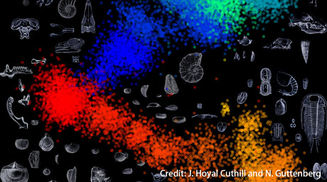 Artificial Intelligence Finds Surprising Patterns in Earth's Biological Mass Extinctions