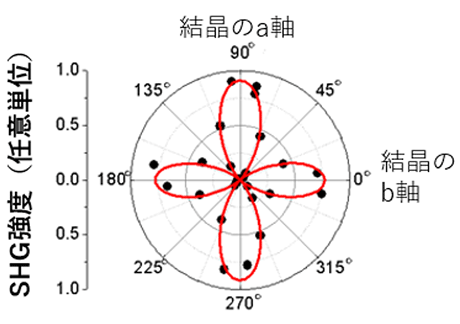 図2. YbFe2O4でa軸方向に観測されるSHG強度の入射偏光角度依存性。外周の角度は入射光の偏光と結晶軸の相対角度を表しており、強誘電体の対称性を反映したSHG角度プロファイルが観測された。