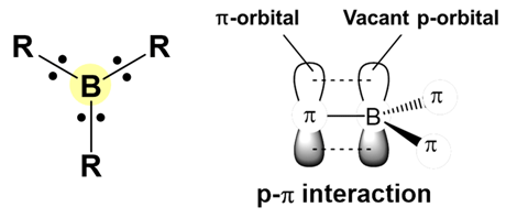 3配位ホウ素原子