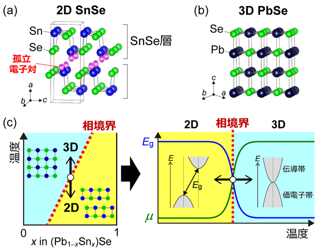 図1. （a,b）2D SnSeと3D PbSeの結晶構造。（c）(Pb1-xSnx)Se固溶体において、2D SnSeと3D PbSeが直接接する相境界を形成できれば（左図）、温度変化により2D－3D構造を直接転移させ、バンドギャップ（Eg）とキャリア移動度（μ）を大きく変化させられる（右図）。