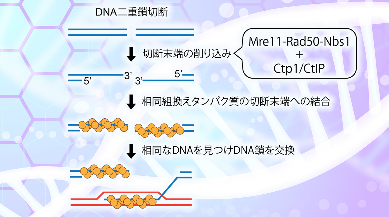東京工業大学