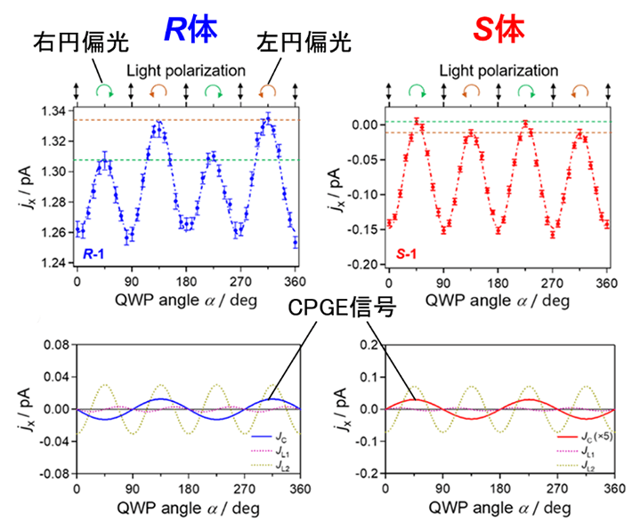 図4. 円偏光ガルバノ効果（CPGE）の観測。外部電場なしで観測された光電流（jx）の偏光依存性（上図）とCPGE信号を抽出した結果（下図）。右円偏光と左円偏光の照射に応じてCPGEによる光電流の向きは切り替わる。導入した分子のキラリティに依存してCPGE信号の符号が逆転する様子が確認できる。