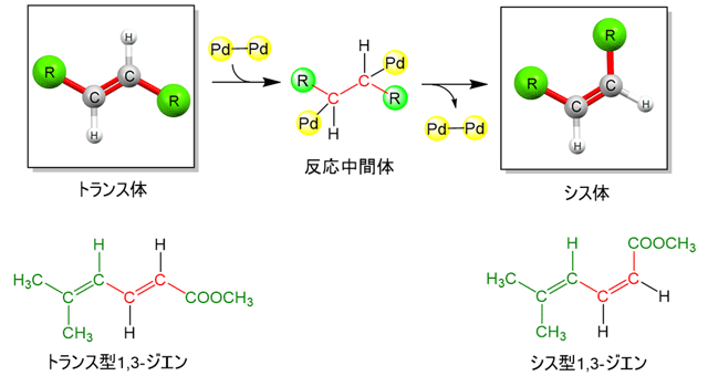 図2. Pd－Pd結合をもつ二核錯体を用いたトランス体からシス体への選択的異性化の模式図