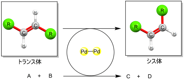 図3. 反応共役の模式図