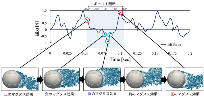 図1. ツーシーム回転のボールの縦方向に働く力