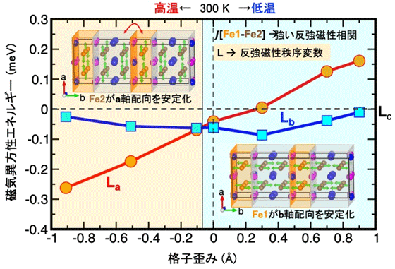 図3. 第一原理計算によるスピン再配列の機構解明。熱膨張で結晶格子が歪むことで、2種類の鉄イオンの磁気異方性の強さが変化して、スピンの方向が変化することがわかる。格子歪みは収縮を正に定義している。