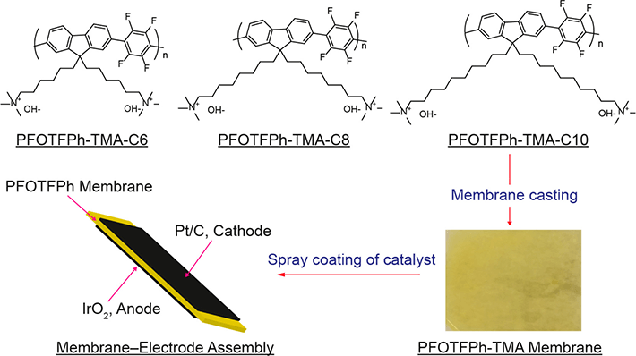 図2. 本研究で合成したアニオン交換膜（PFOTFPh-Cx）と作製した膜電極接合体（MEA-Cx）