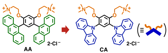 図1. 既報のV型両親媒性分子AAと新規なV型両親媒性分子CAの構造