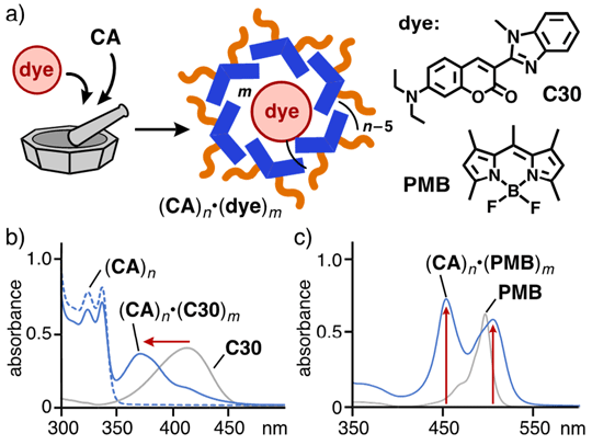 図3. a）分子カプセル(CA)nによる色素分子の内包スキーム.内包前後の紫外可視吸収スペクトル（水中,室温）：b）クマリン色素C30とc）BODIPY色素PMB.