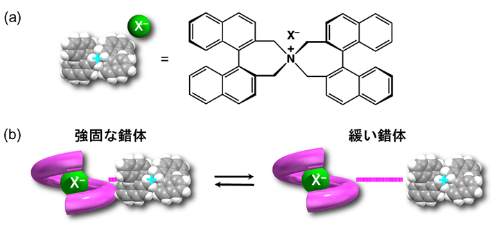 図3. （a）キラルなビナフチルアンモニウム塩および（b）錯体の圧力応答挙動